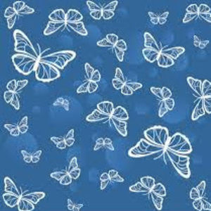 Meet your Posher, Brooklynn